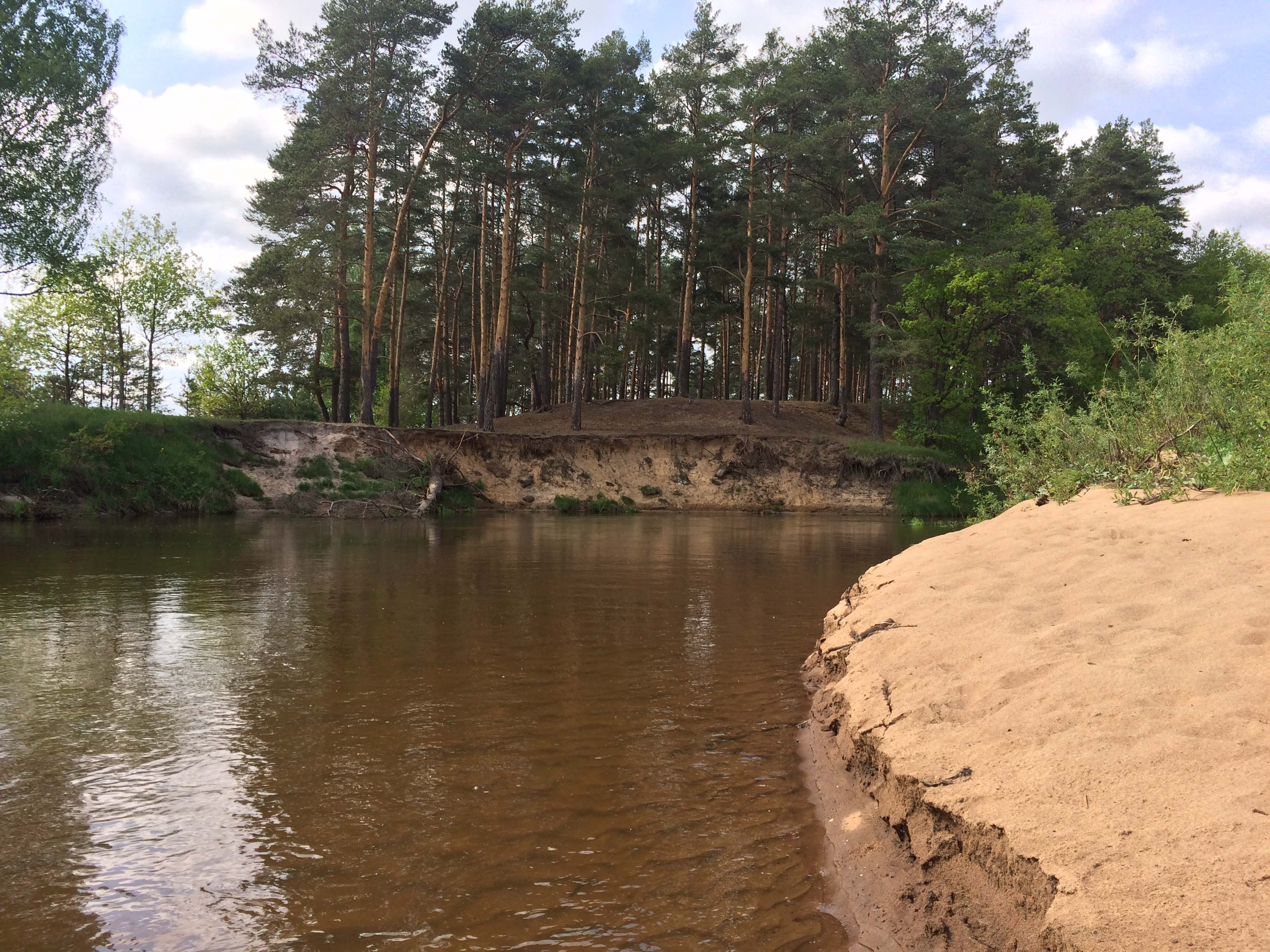 На одном берегу пляж, а на другом сосновый перелесок