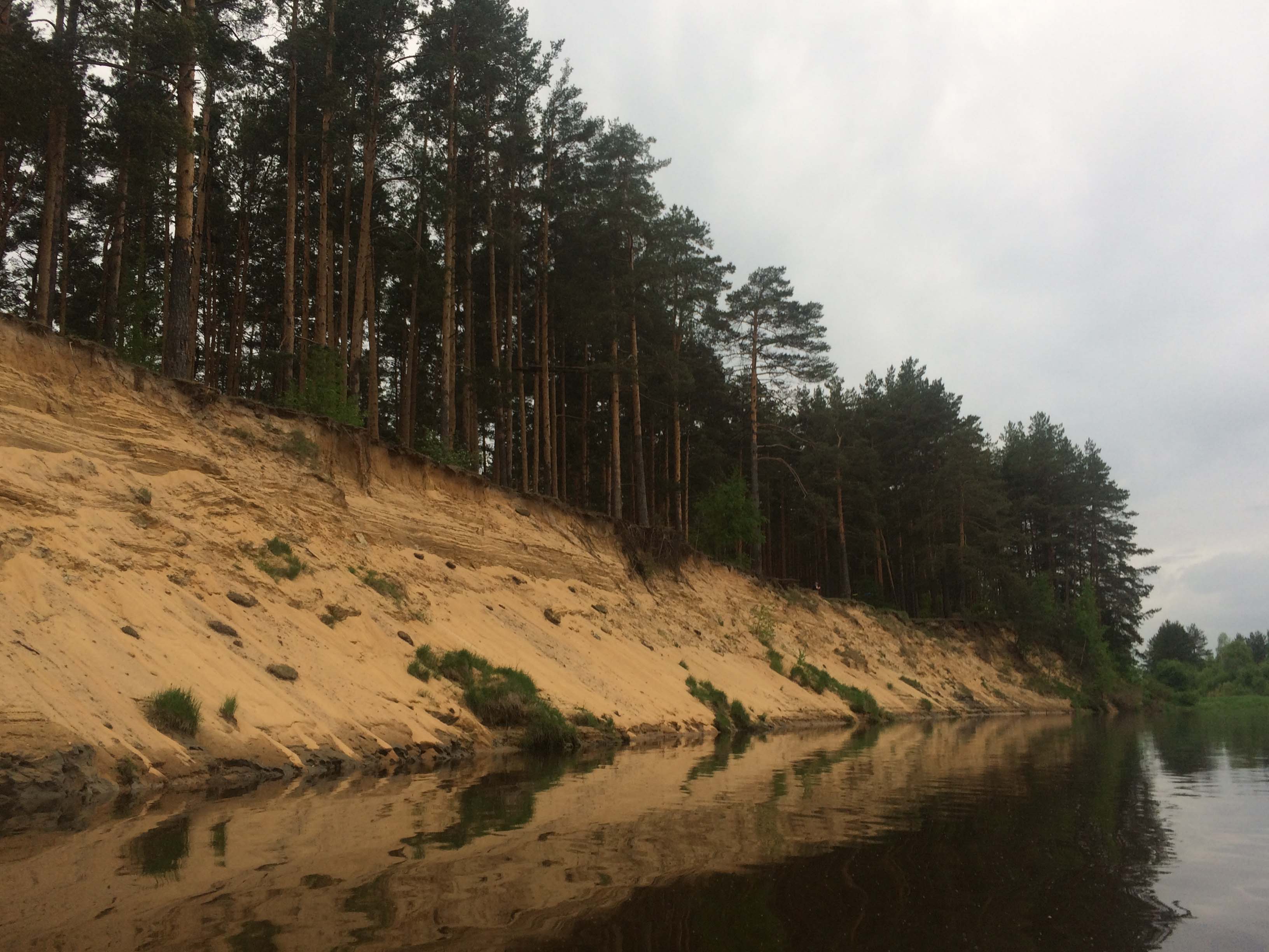 Крутой берег и сосновый бор на берегах Клязьмы