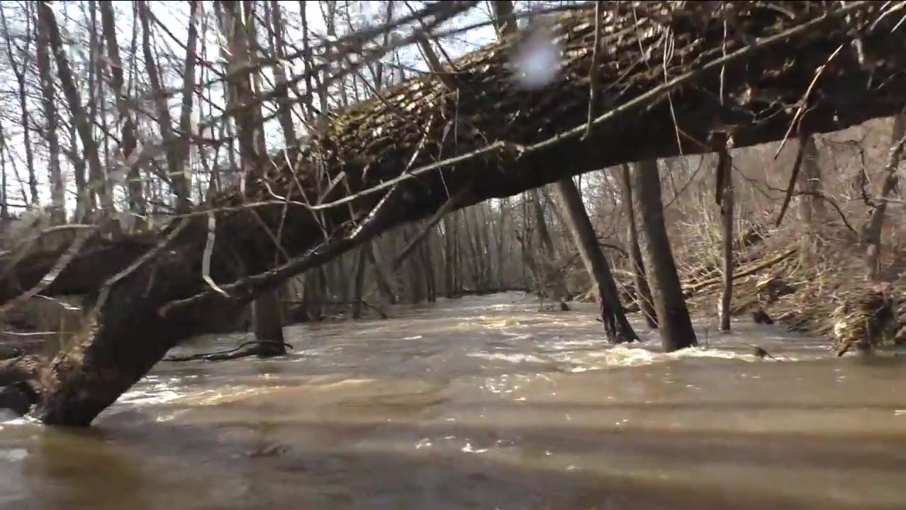 Затопленный лес на берегах реки коломенка, весенний паводок