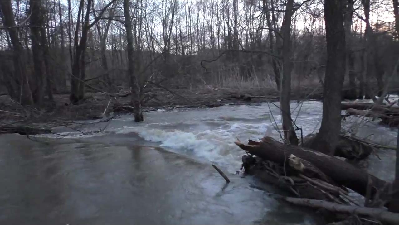 Во время весеннего паводка струя воды в реке Коломенка проходит по затопленному лесу