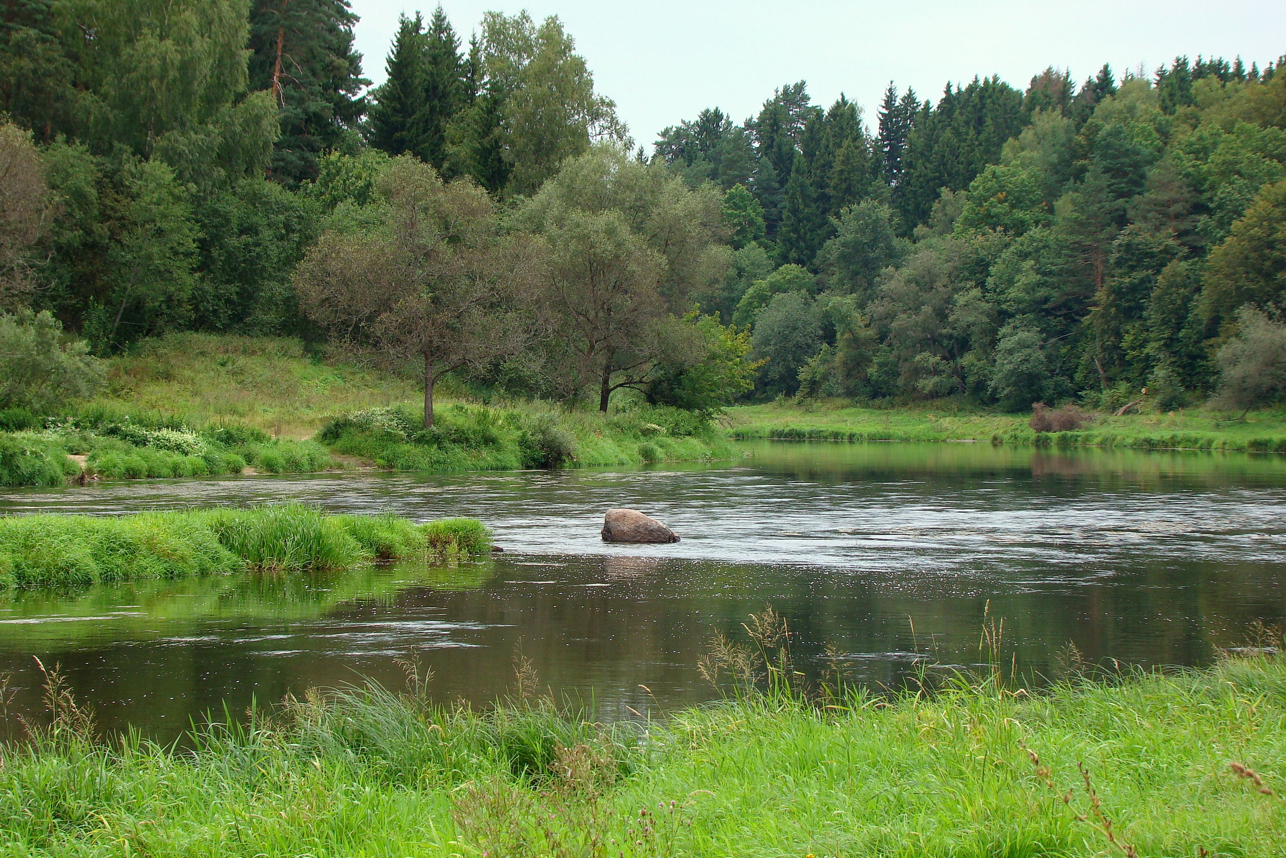 Летние виды на Москва-реку. На берегах растет преимущественно смешанный лес.